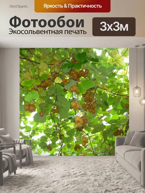 Фотообои Киви