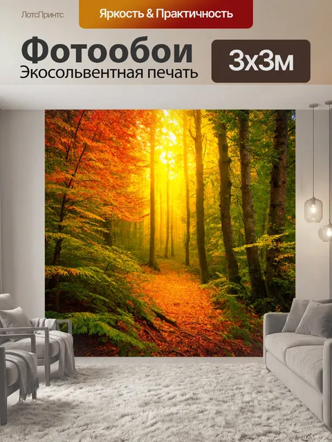 Фотообои осенний лес, переливающийся всеми цветами радуги
