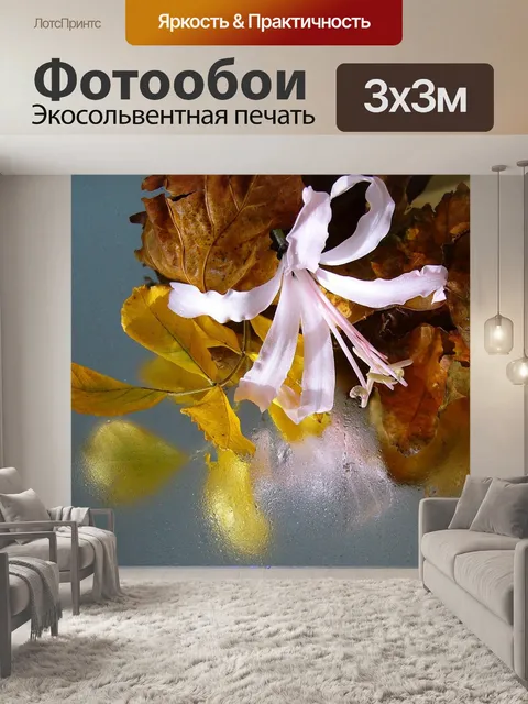Фотообои Nerine sarniensis