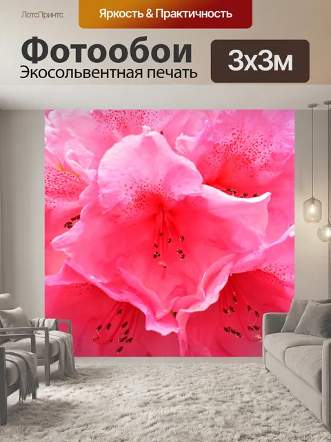 Фотообои Цветы