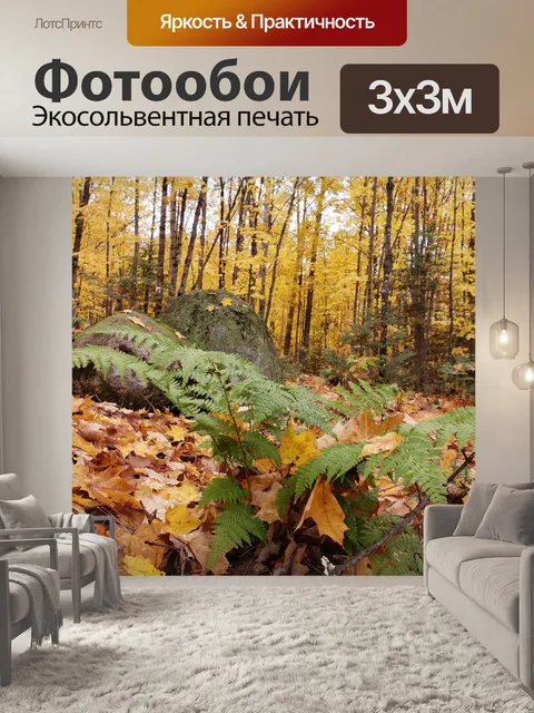 Фотообои Осенние деревья и скалы