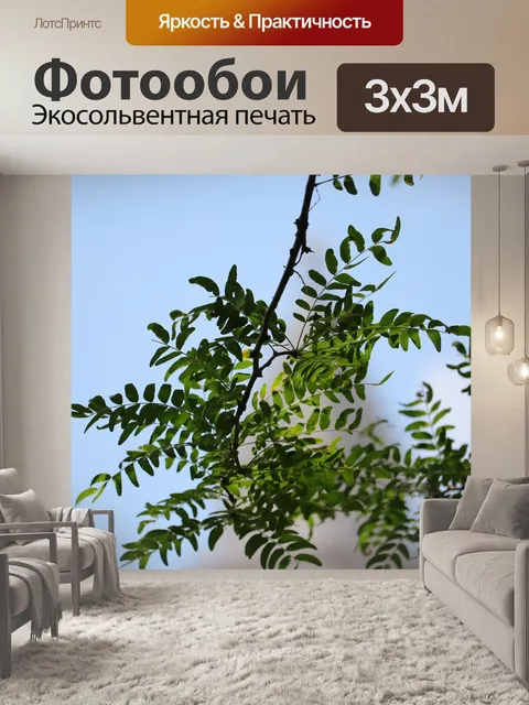 Фотообои Листья