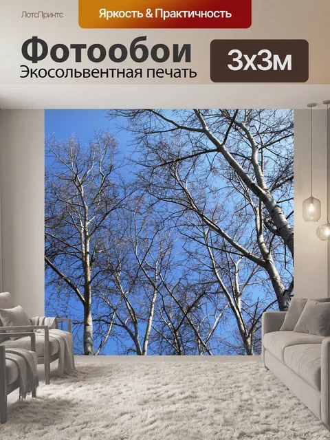 Фотообои Деревья