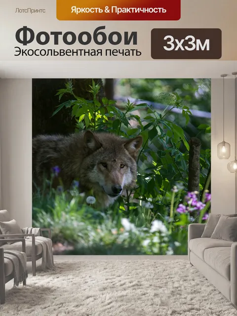 Фотообои Волк