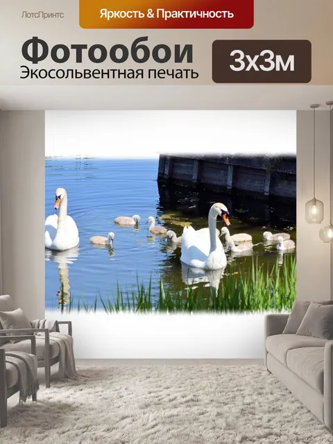 Фотообои Семья лебедей 1