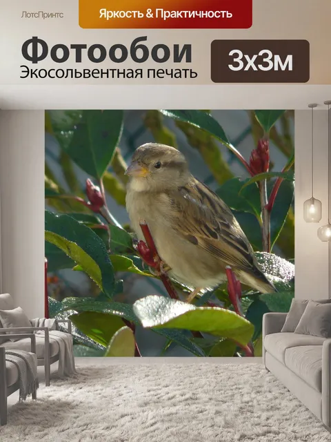 Фотообои Воробей