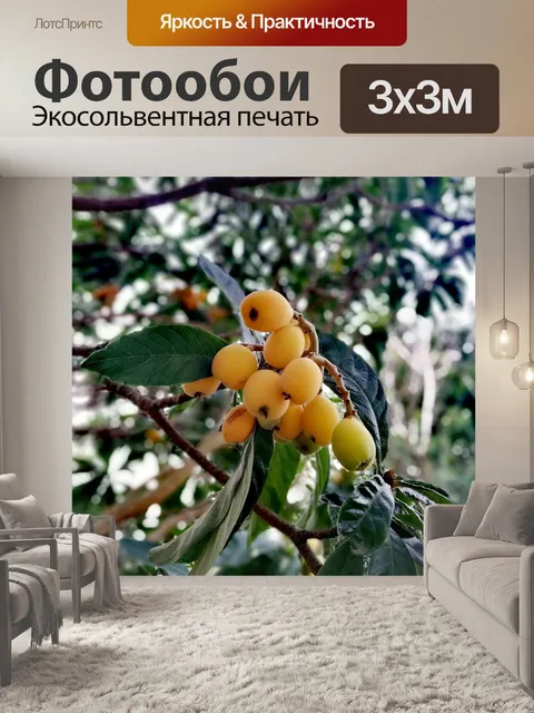 Фотообои Мушмула