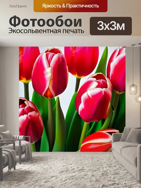 Фотообои современный букет из тюльпанов
