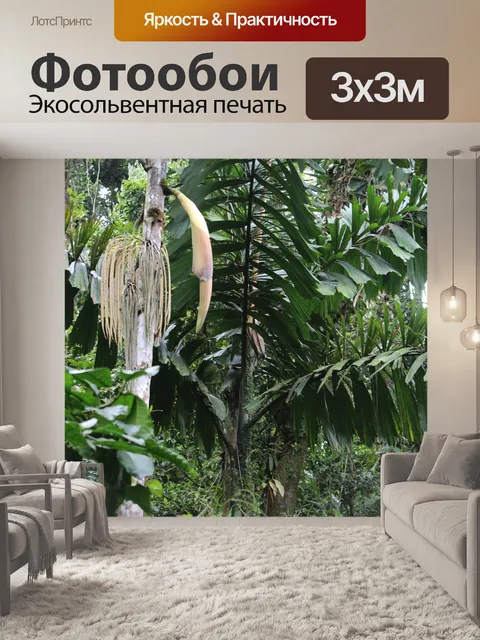 Фотообои Стручки пальмового семени