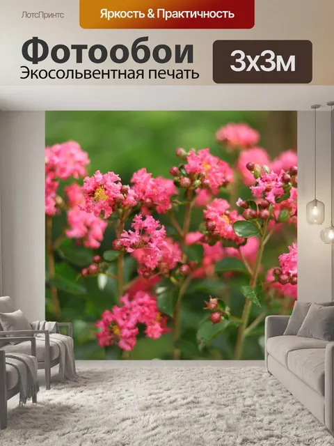Фотообои Цветы