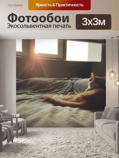 Фотообои Кот