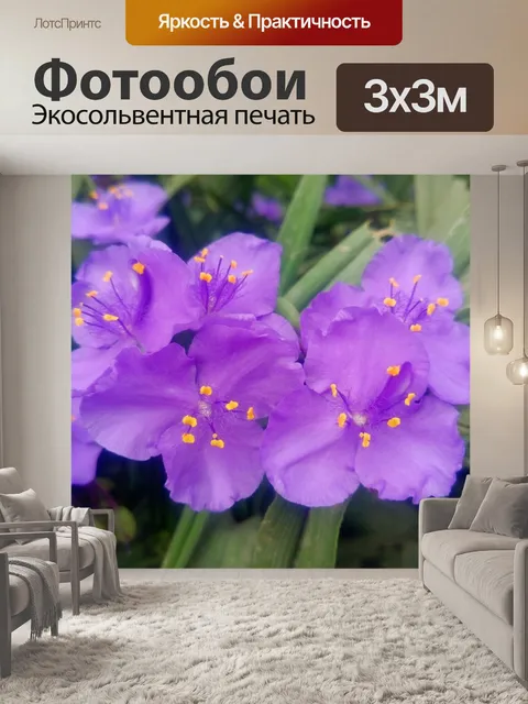 Фотообои Цветы