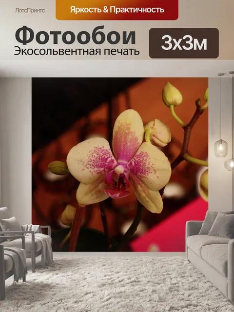 Фотообои Фон