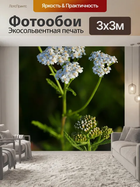 Фотообои Пейзаж