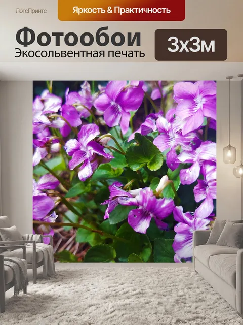 Фотообои Цветы