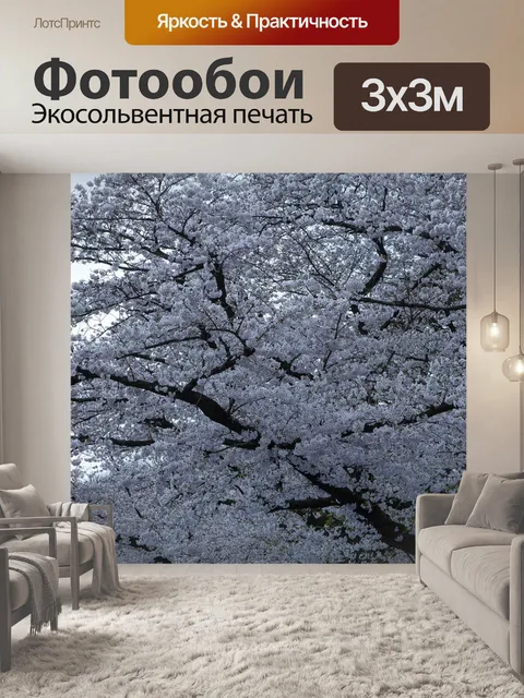 Фотообои Японские вишни в цвету