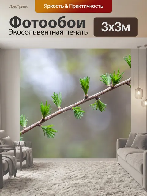 Фотообои Лес