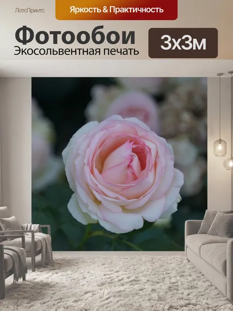 Фотообои Роза