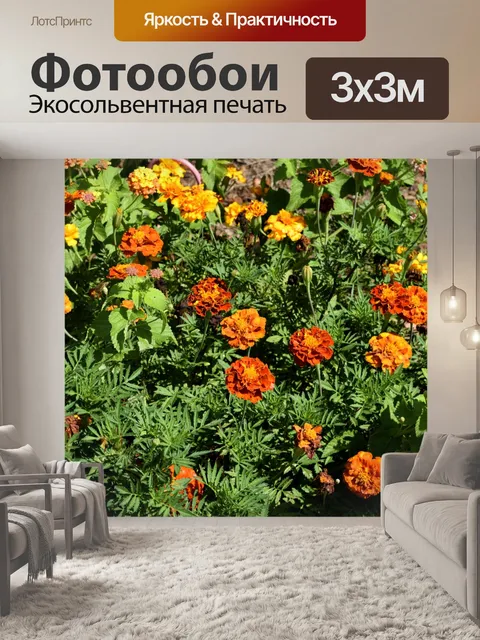 Фотообои календулы Цветы