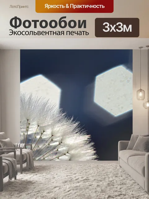 Фотообои Одуванчик