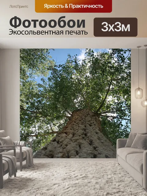 Фотообои Дерево