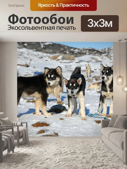 Фотообои Гренландия