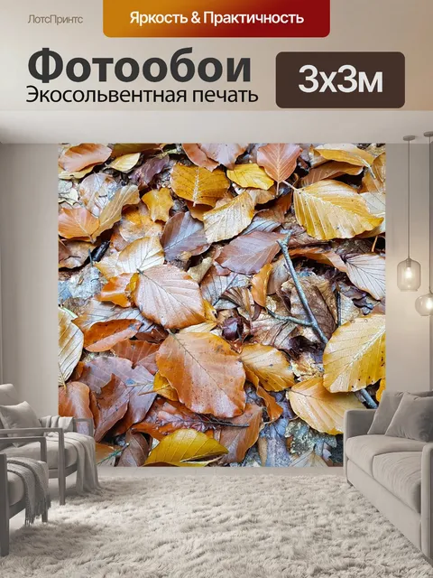 Фотообои Листья