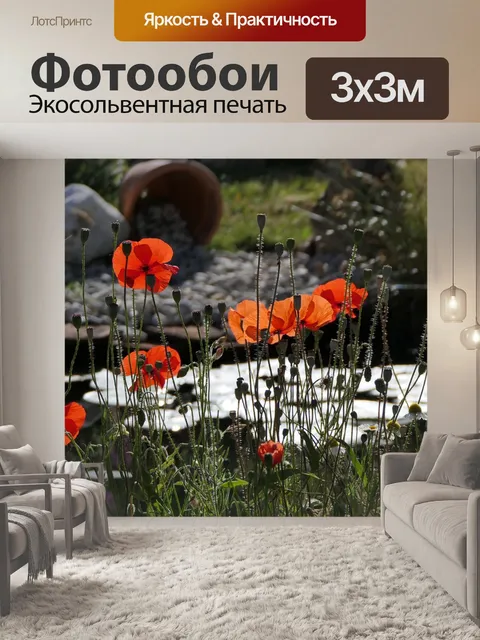 Фотообои Маре