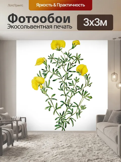 Фотообои Клипарт цветок старинное искусство