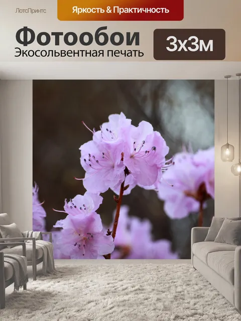 Фотообои Азалия