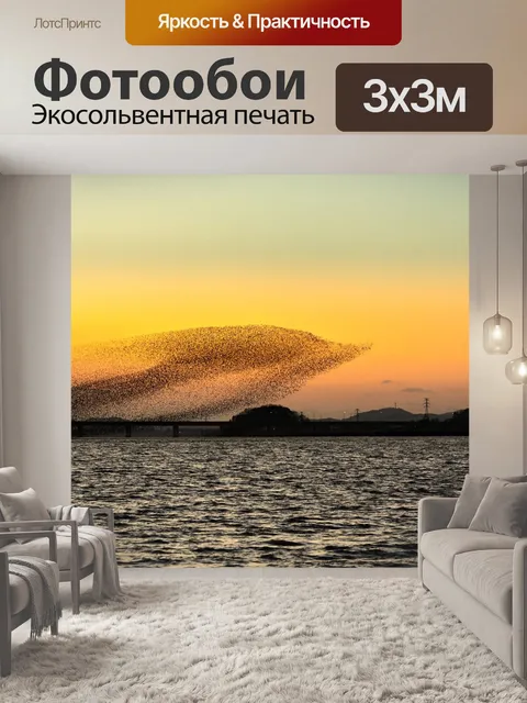 Фотообои Птицы