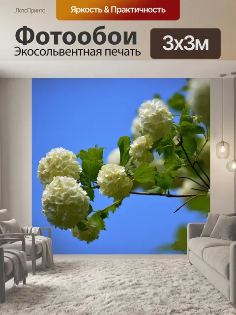 Фотообои Цветы
