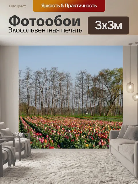 Фотообои Поле тюльпанов
