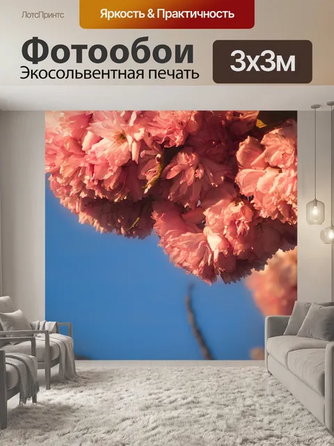 Фотообои Небеса