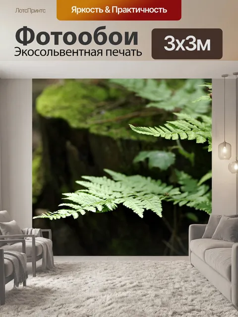 Фотообои Папоротник