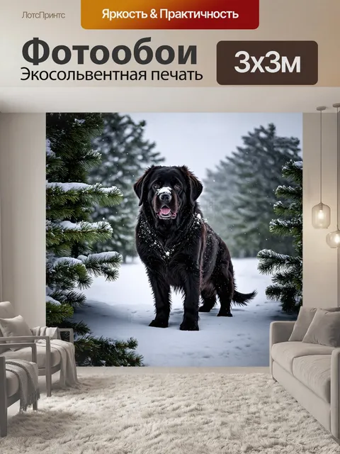 Фотообои внушительный черный ньюфаундленд величественно стоит на фоне снежной метели