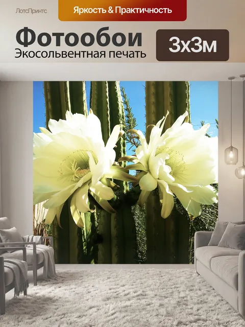 Фотообои Цветы