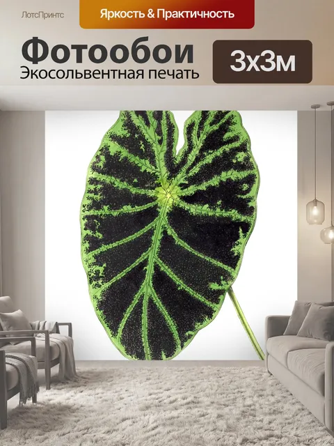 Фотообои Листва лист растение прозрачный