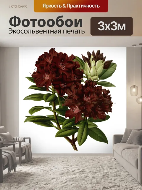 Фотообои Цветы
