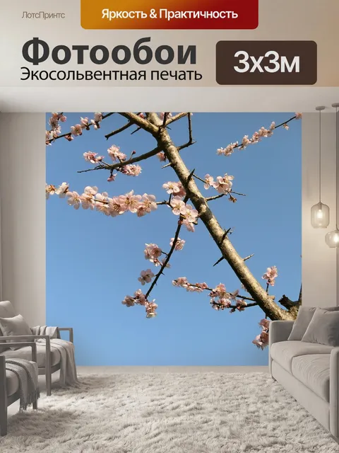 Фотообои Слива