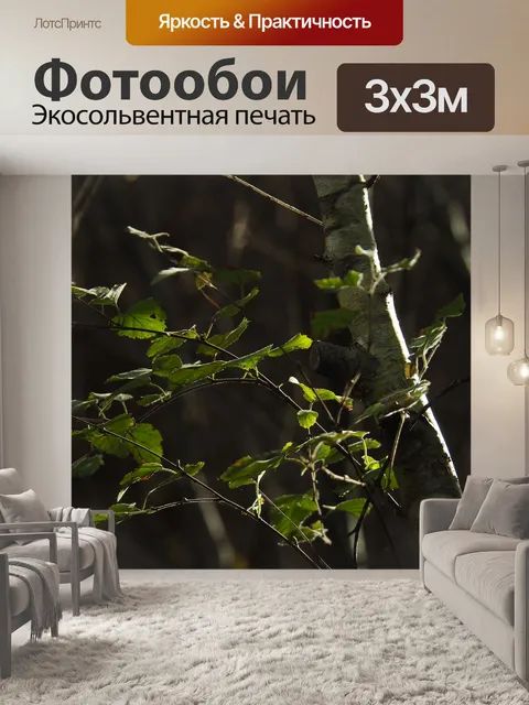 Фотообои Дерево