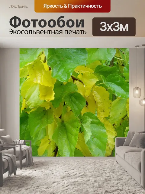 Фотообои Листьев ежевики