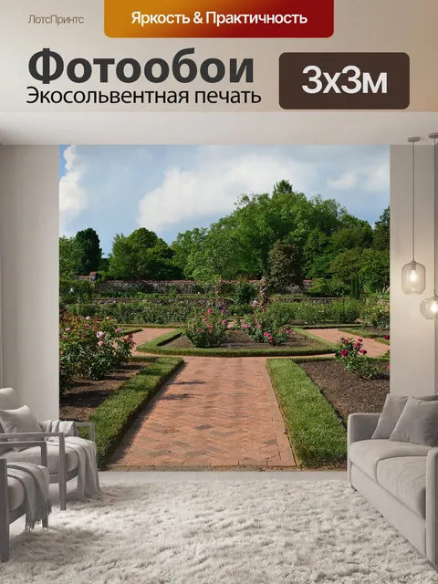 Фотообои Роза