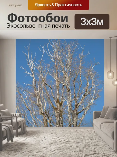 Фотообои Дерево