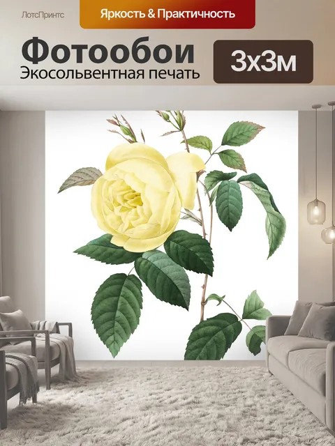 Фотообои Цветы Клипарт Наклейки Винтаж