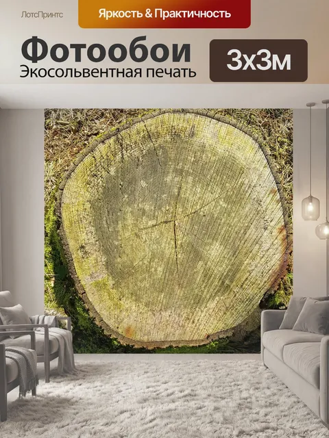 Фотообои Дерево