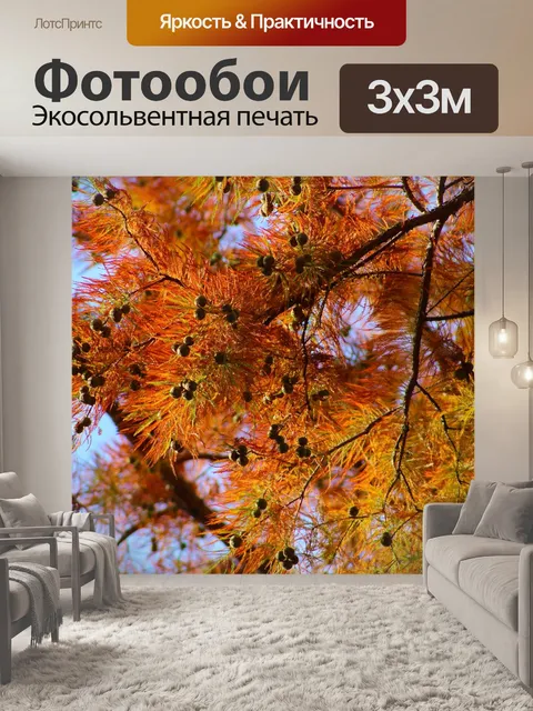 Фотообои Дерево