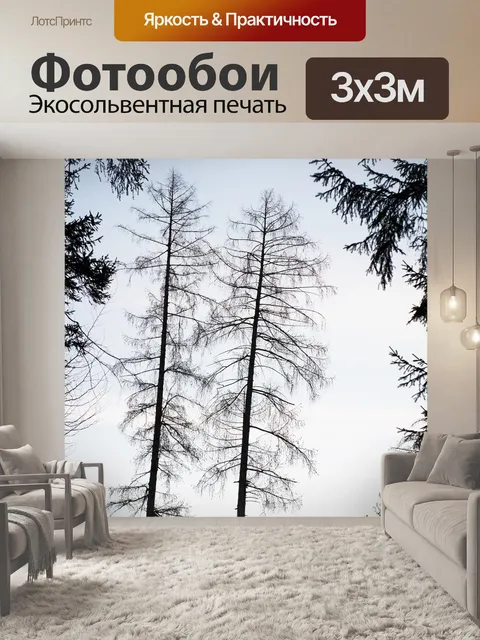 Фотообои Деревья