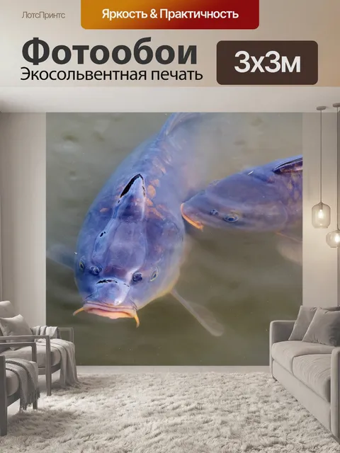 Фотообои Карп