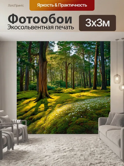Фотообои япония: густой лес с древними деревьями, отбрасывающими длинные тени на мягкий мох